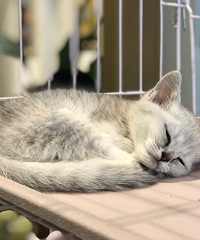 Сè�����ѽ������