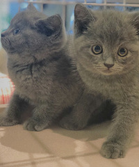 Сè�����ѽ������