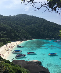 ���������桿һֻϲ������ϲ����ʳ�ĵ�����