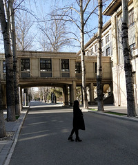 92���ٺ����ӣ���Ȥ����꣬�ȹ�ƽ����һ��