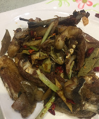 ҹ�������ܲ��� ҹ���� �˵Ŀ�ζҲ����