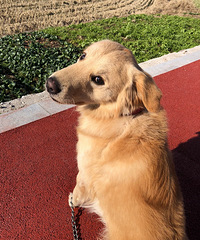 ���ܴ��ëת��