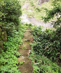 �������ռ�No.26�����·���---���б����ջ�