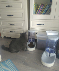 ��Ӣ�����Ҹ�ϱ��