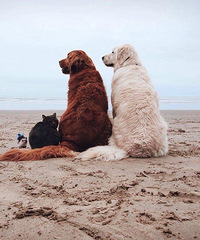 ��Ϊ��ͥԭ��������������ҵĹ���.�����Ժ�˯���а���.