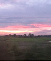 һ��������