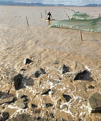 ���۸��᡿����ץ�з�磬һ����û����ǧ���룿