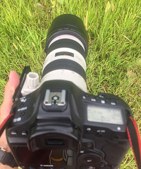 ����һ����Ȥ����꣬�κ��������Ե��ˣ�