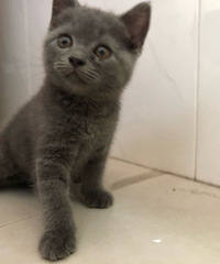 2���´���èdd�Ҽҳ���