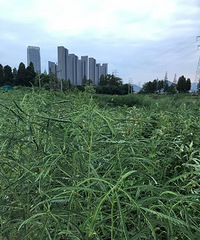 ���۸��᡿��������Ǿ��ͺ��߲���