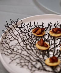 �����ܲ�����Ŵ�׷������Ŵ ��ϧ����Ƿ��