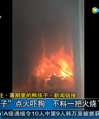 5���ܺ��ӵ�����Ϲ�����һ�ѻ����˼�