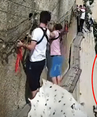 ��ɽջ�����ӽ⿪��ȫ��Ծ�����£�