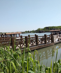 ����Ϸ��ɳ��亡���Դ�أ�ɳ���«έ��