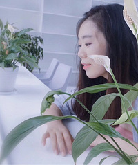 ¥�￪ʼɹ�����ˣ�86С�����������