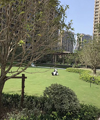 ·�ŵ�С�����μ�ѹ��ˮ�ǴӼ�¥��ʼ�ģ�