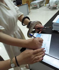 ���ͣ��𻪹���һ��ץ���ߣ�һ�ֵ����������ʿ����