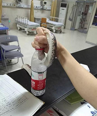 ���ͣ��𻪹���һ��ץ���ߣ�һ�ֵ����������ʿ����