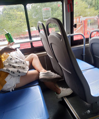 ���۸��᡿������Ӧ��Ӧ�ó���ʳ