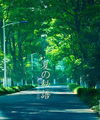 8�����׸�¥||ɹ����������ĺ�Ӱ���н���