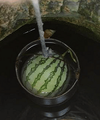 ���۸��᡿�ж����˸ɹ�����