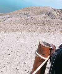 8�����׸�¥||ɹ����������ĺ�Ӱ���н���