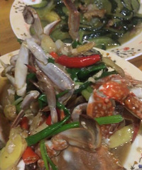 ���۸��᡿��Ҷ�ϲ����ʲô���� ׼���ö���ӭ��������