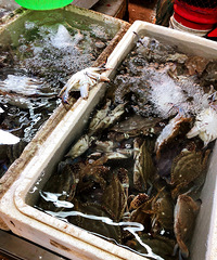 �������з ���������ʵ�ľͷ�