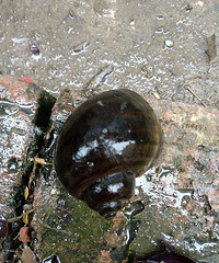 ���۸��᡿�����ݣ��ܳ���