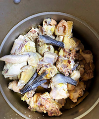 ���������� ������һ������׿ڸ��籫��