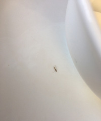 ���۸��᡿�����¹��ӵ�ʱ�򣬻��ÿ�ˮ�Ѳ;�������ϴһ����