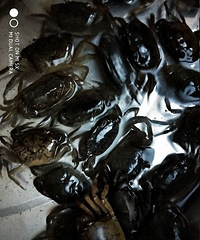 ���۸��᡿�����С�з�������ܲ��ܳԣ�