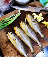 Ӧ���Ҫ�������ӵ����Ĳˡ�������С����