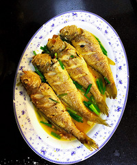 Ӧ���Ҫ�������ӵ����Ĳˡ�������С����