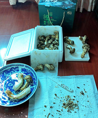 ���������� ����ˮϴ �մɵ���