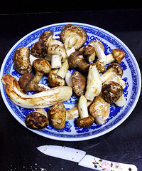 ���������� ����ˮϴ �մɵ���