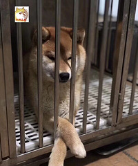 ����ׯ��ȮȮ�᳣����۾�Ʒ��Ȯ