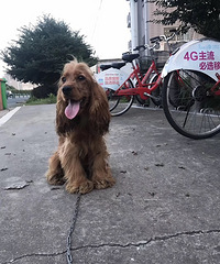 һ������ɿ�����