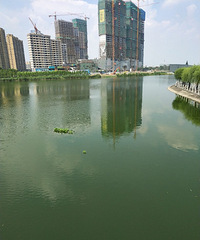 ���۸��᡿�����Ĳ�Ǩ�������Ƿ��˻��ǿ��ˣ�