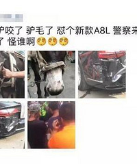 狗咬驴,驴踢坏了百万奥迪,10万元维修费该谁出?