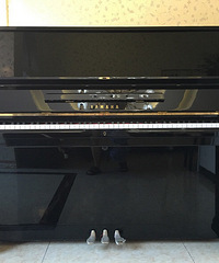 ���а�Ǩ�����ٴ�����YAMAHA�������١��ػ͹��ݴ�����