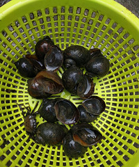 ���۸��᡿¥���ǣ������ݸ�������ô����