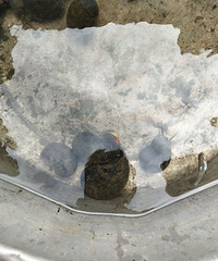 ���۸��᡿¥���ǣ������ݸ�������ô����