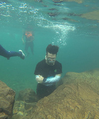 �ɾӵ�����ϪϷˮ