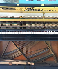 ����ȫ�����������а�Ǩ��YAMAHA���ָ���