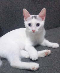 ����2500�������޷��չˣ�����998