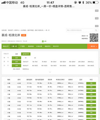 ����˫�����İذĶ�����2.1�� ��������������ô��