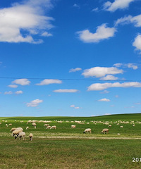 һ·�� -- ��������