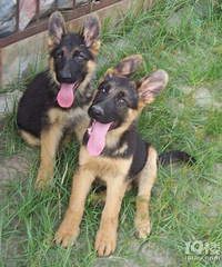 ���۸��᡿��ϲ����ʲôƷ�ֵĹ���