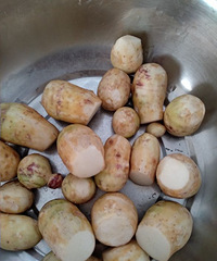 ���۸��᡿����ͷ��ô��Ų���Ū�������������������಻�ܳ�!